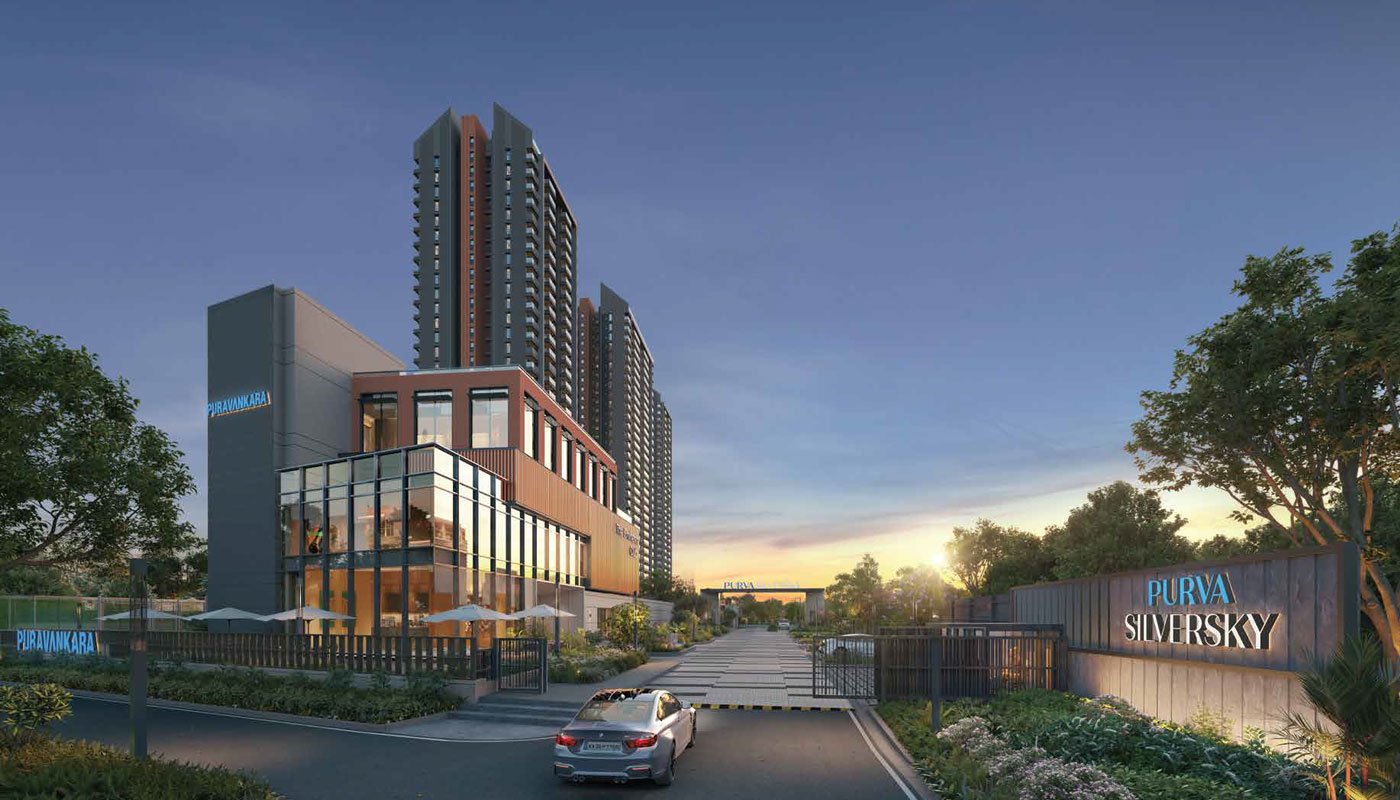 Purva Silversky Image 2